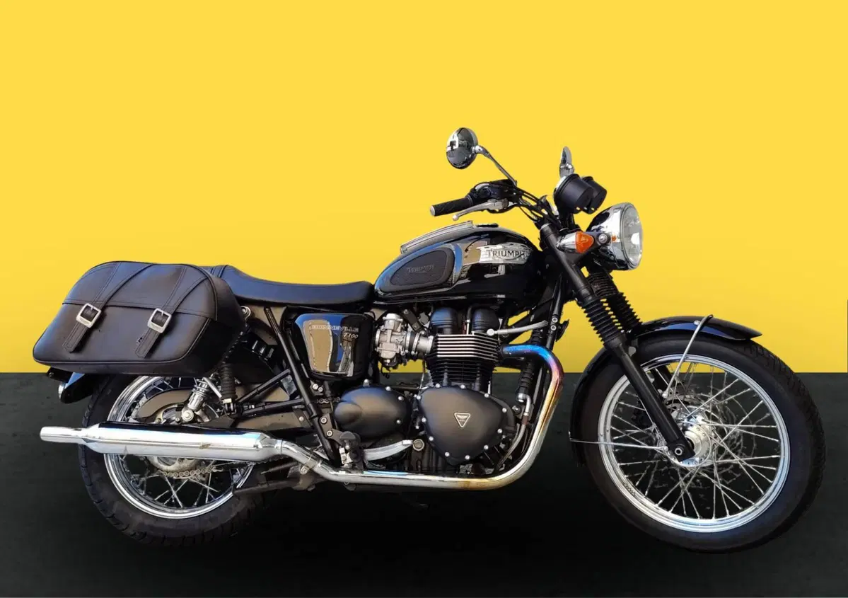 Triumph Bonneville T100 (2008 - 16) (3)
