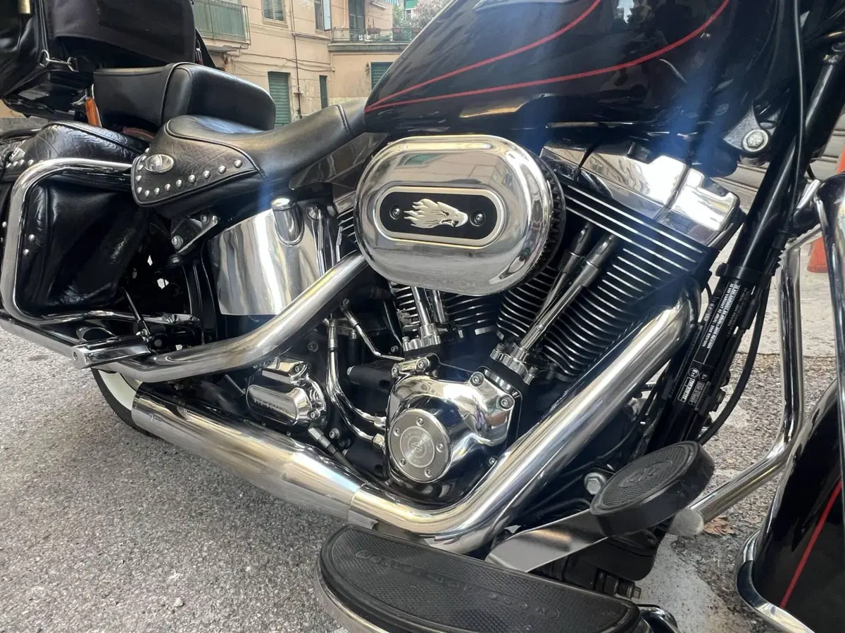 Harley-Davidson 1584 Heritage Classic (2008 - 10) - FLSTC (3)