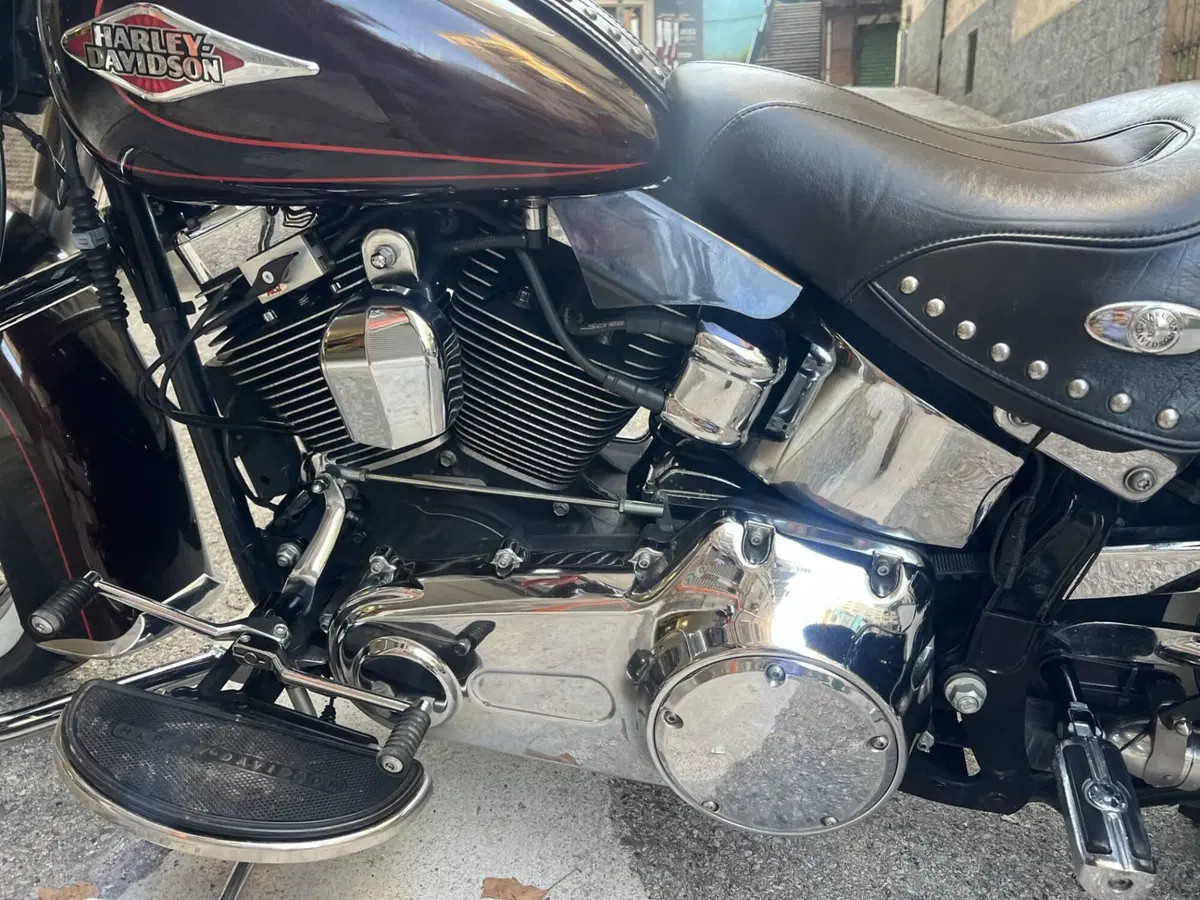 Harley-Davidson 1584 Heritage Classic (2008 - 10) - FLSTC (4)