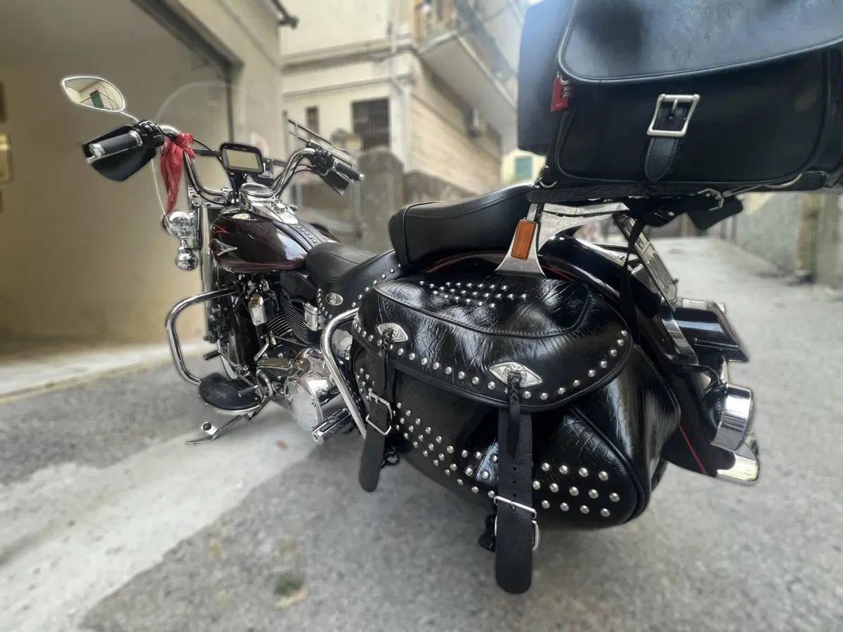 Harley-Davidson 1584 Heritage Classic (2008 - 10) - FLSTC (5)