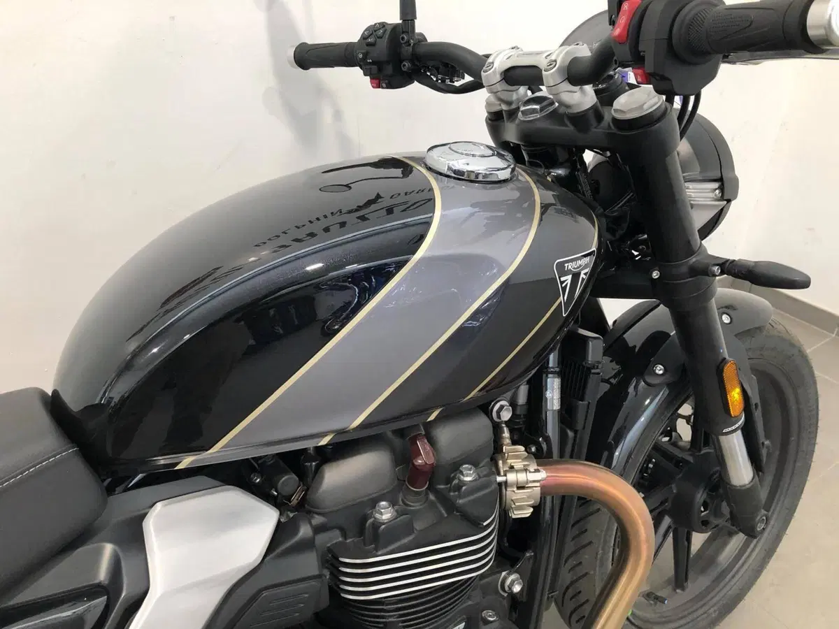 Triumph Speed Twin 900 (2025 - 26) (4)