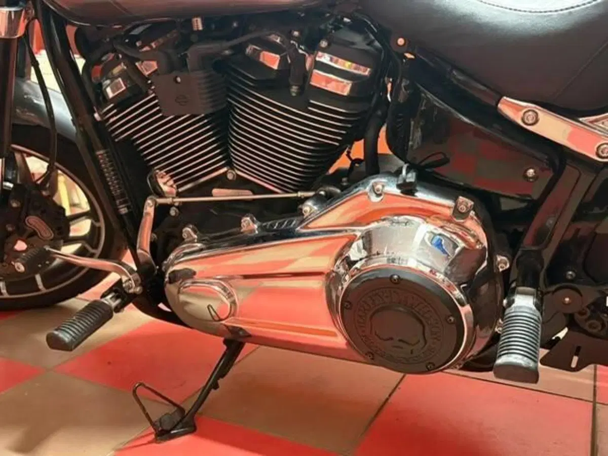 Harley-Davidson Sport Glide (2021 - 25) (7)