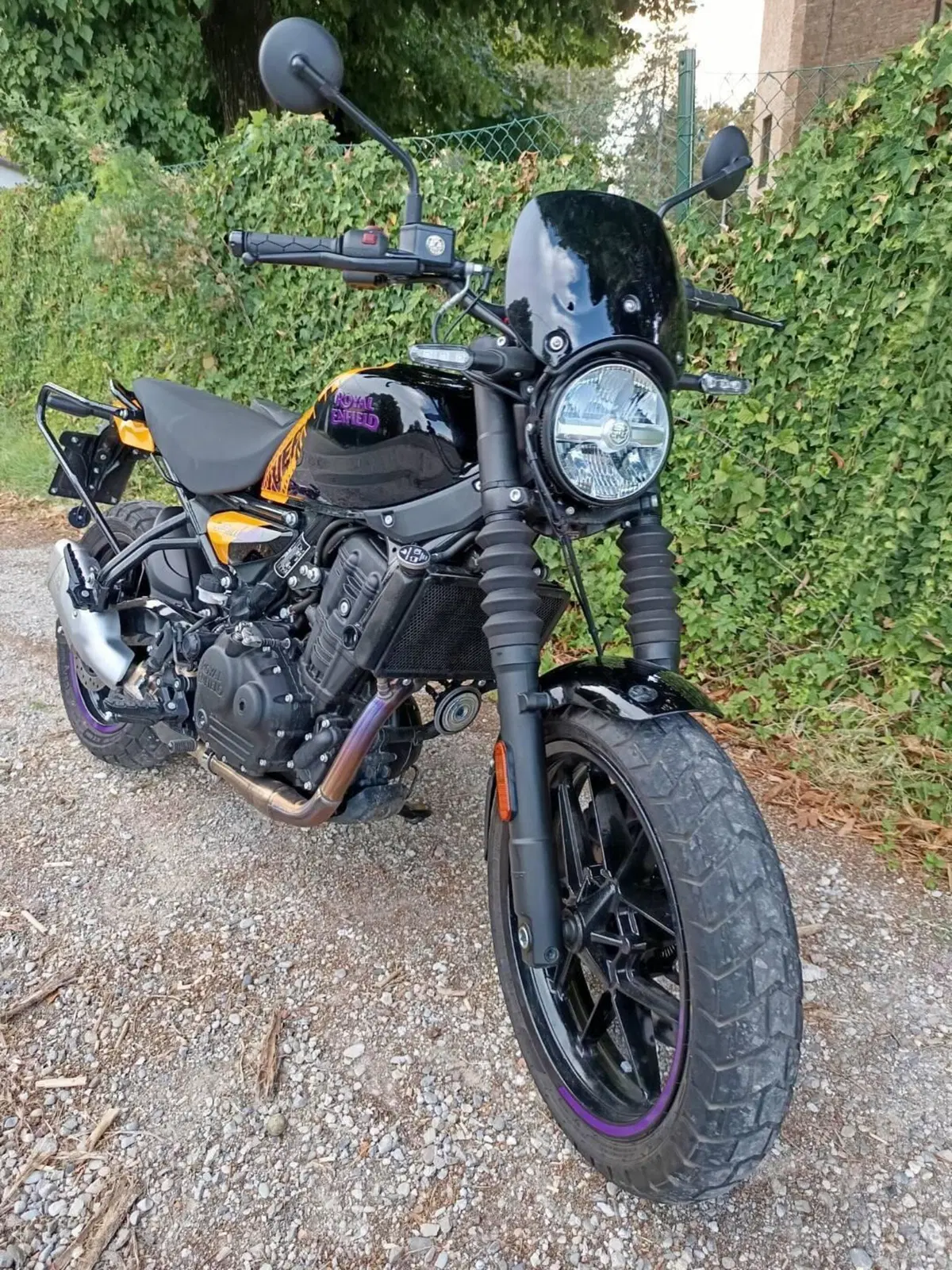 Royal Enfield Guerrilla 450 (2024 - 26) (3)