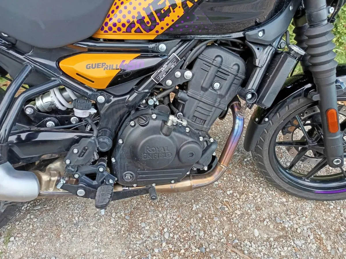 Royal Enfield Guerrilla 450 (2024 - 26) (4)
