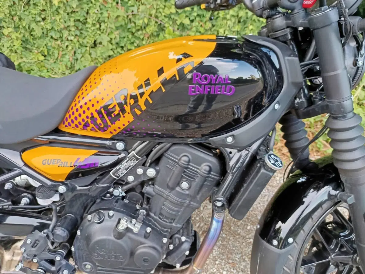 Royal Enfield Guerrilla 450 (2024 - 26) (7)