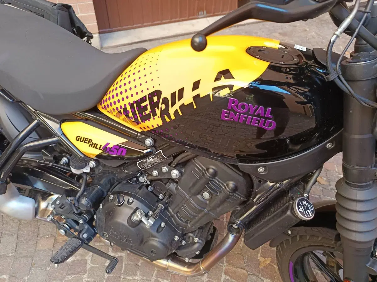 Royal Enfield Guerrilla 450 (2024 - 26) (17)