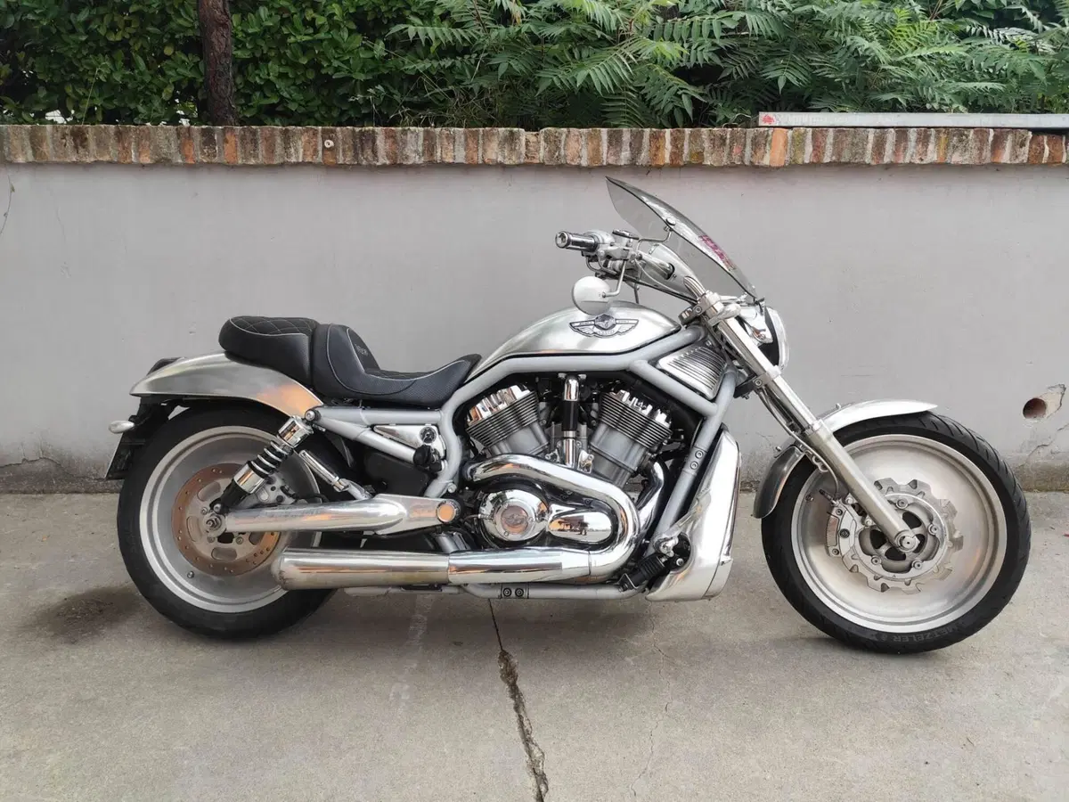 Harley-Davidson 1130 V-Rod (2002 - 05) - VRSCA