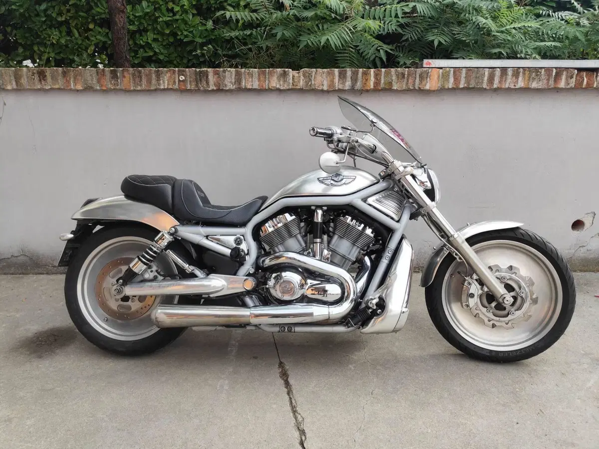 Harley-Davidson 1130 V-Rod (2002 - 05) - VRSCA (2)