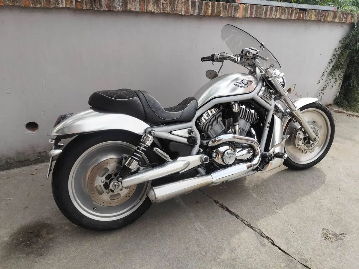Harley-Davidson 1130 V-Rod (2002 - 05) - VRSCA (3)