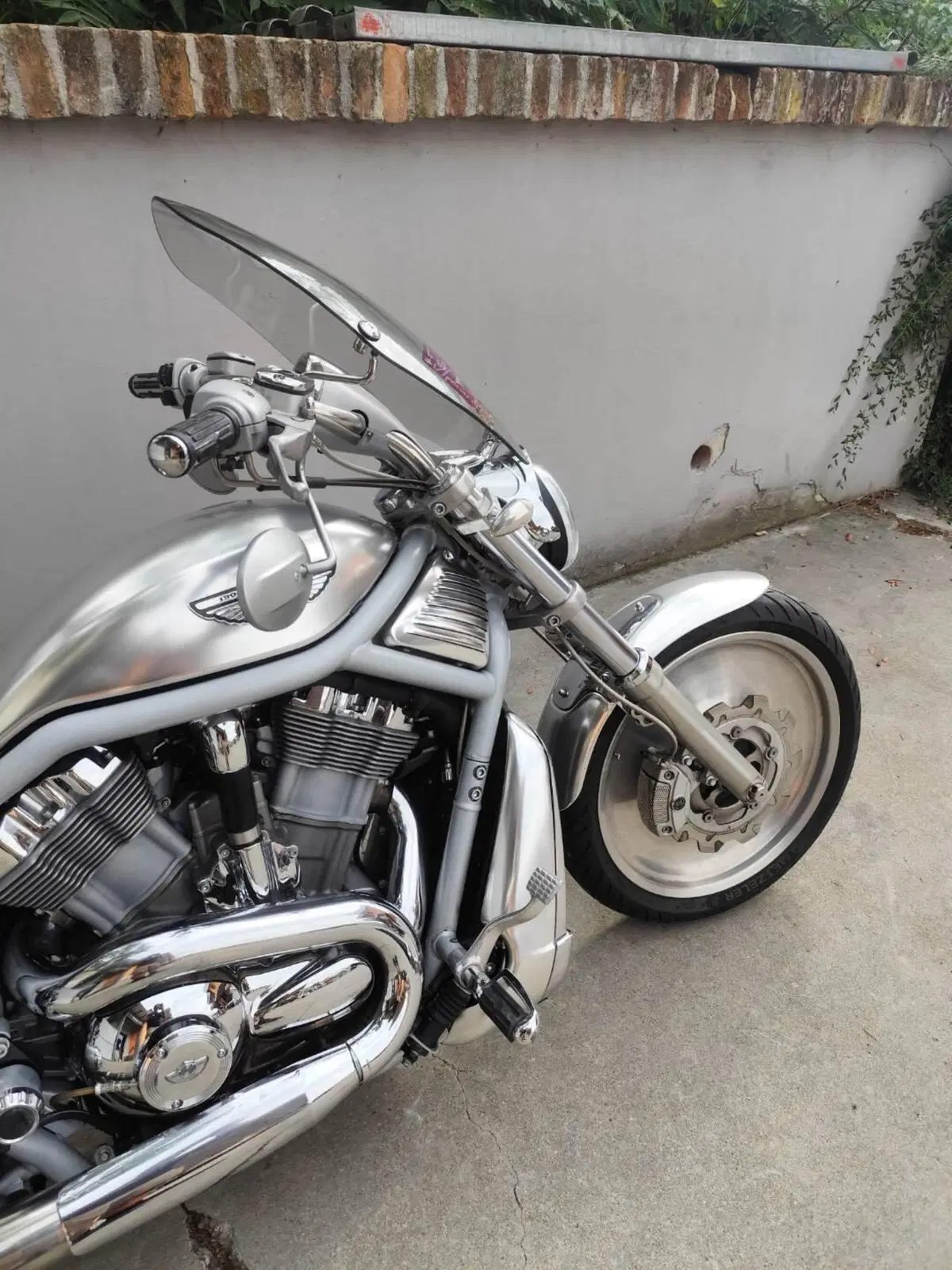 Harley-Davidson 1130 V-Rod (2002 - 05) - VRSCA (6)