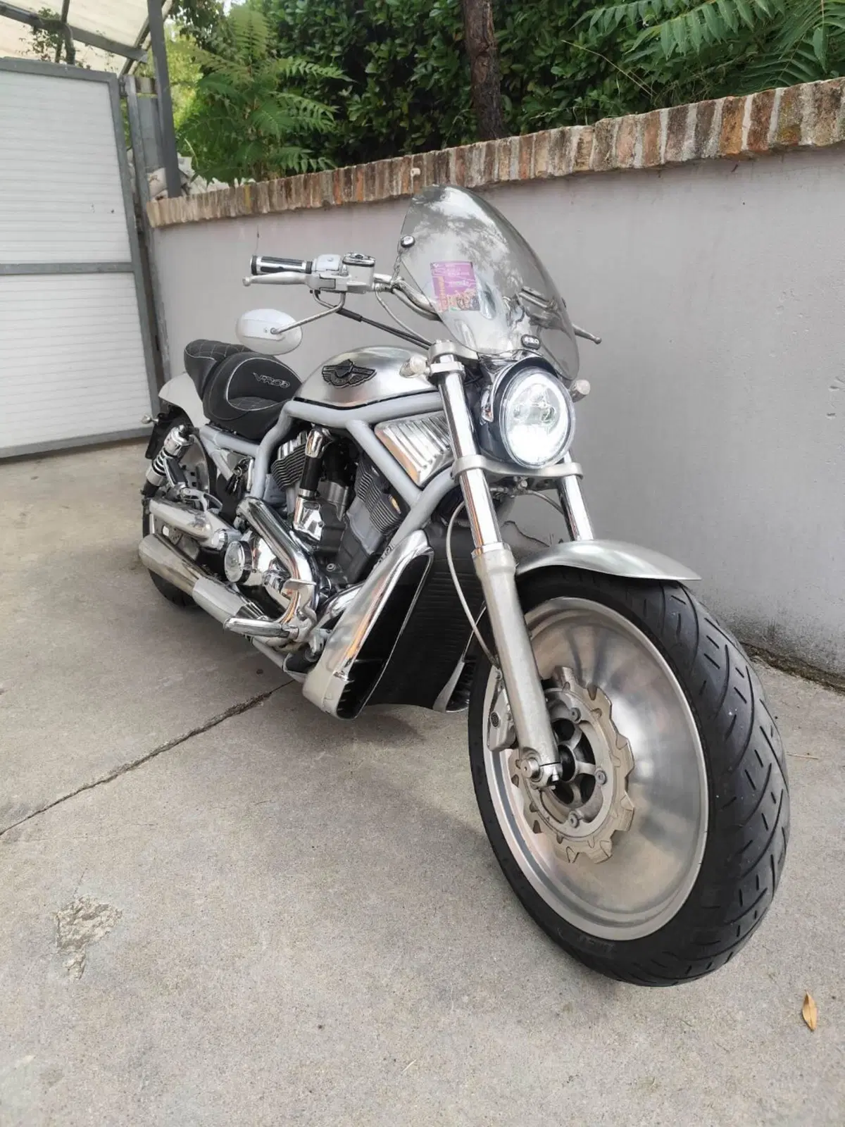 Harley-Davidson 1130 V-Rod (2002 - 05) - VRSCA (8)