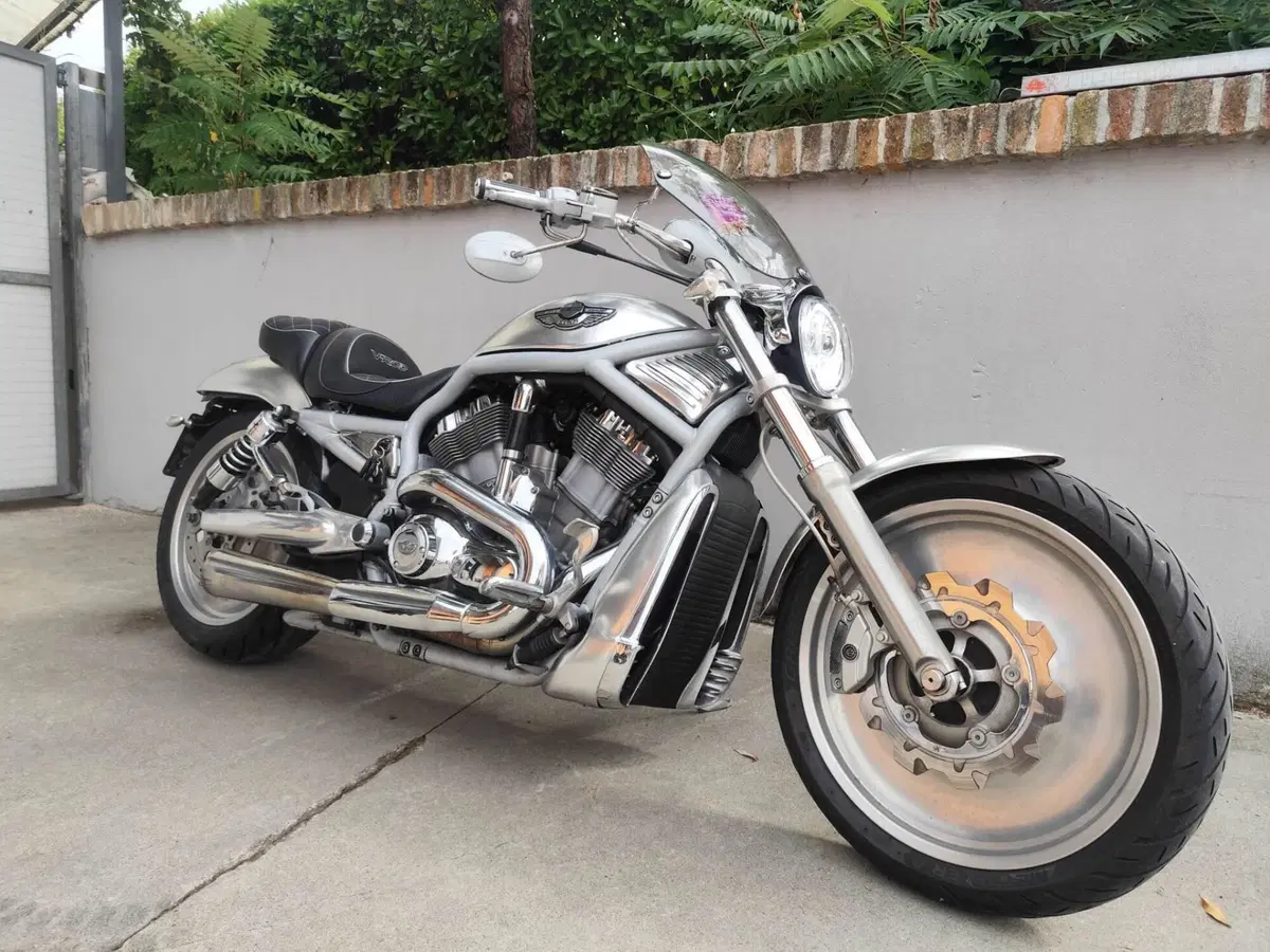 Harley-Davidson 1130 V-Rod (2002 - 05) - VRSCA (9)