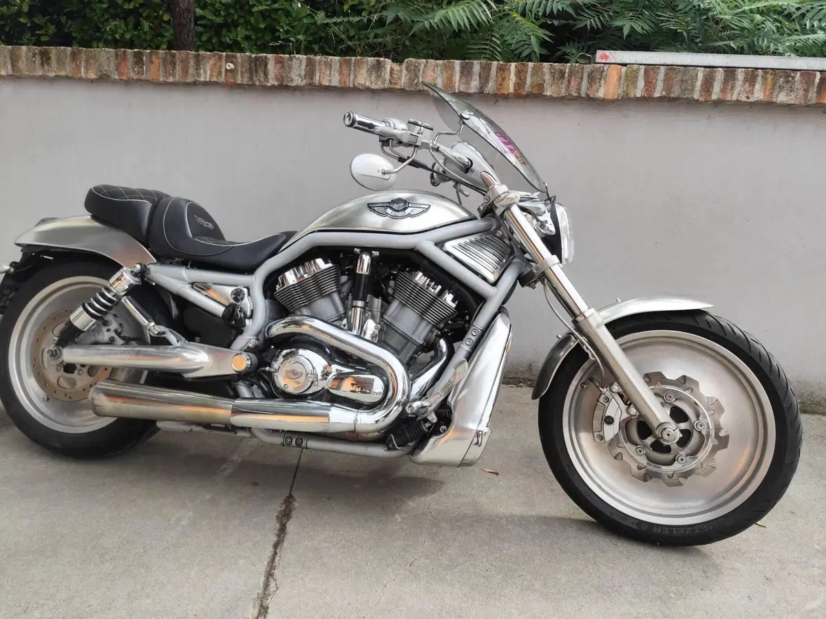Harley-Davidson 1130 V-Rod (2002 - 05) - VRSCA (10)