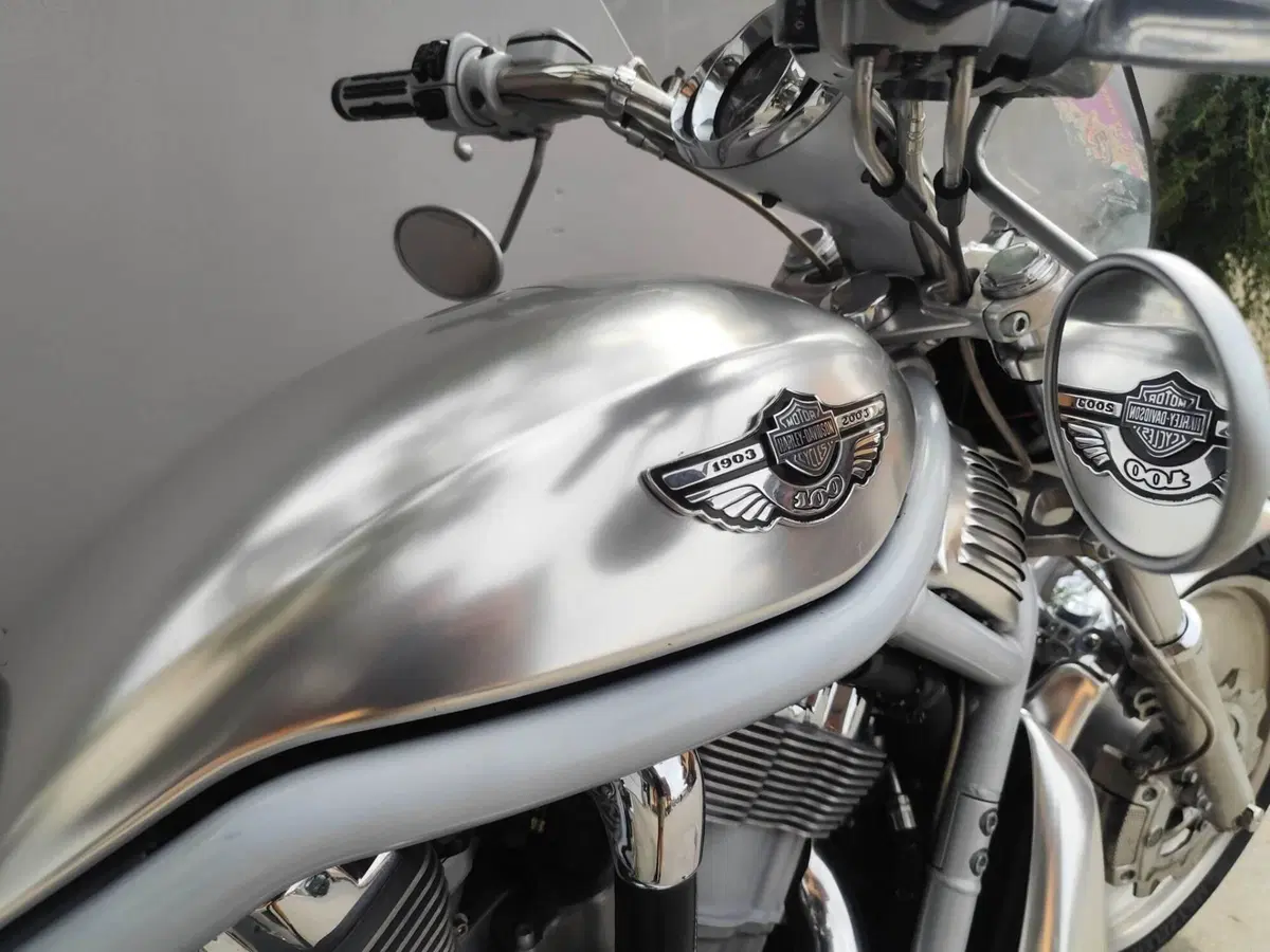 Harley-Davidson 1130 V-Rod (2002 - 05) - VRSCA (11)