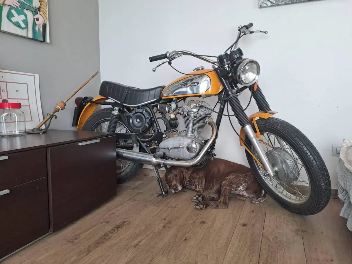 Ducati scrambler  250 (3)