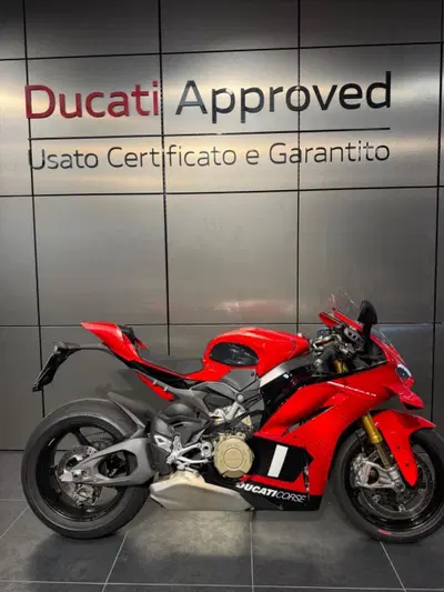 Ducati Panigale V4 S (2025 - 26) usata
