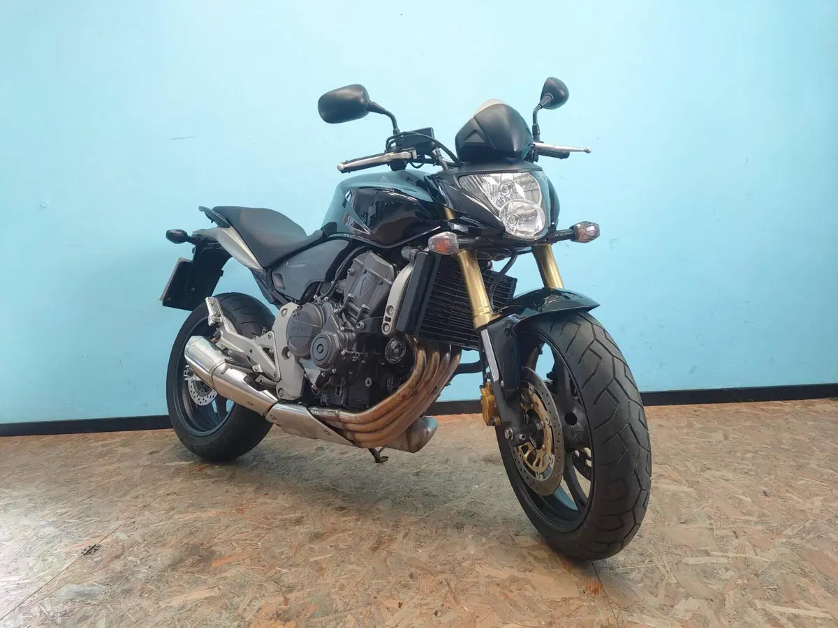 Honda Hornet 600 (2007 - 10) (2)