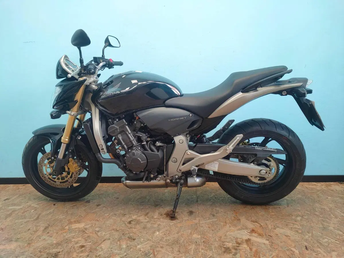 Honda Hornet 600 (2007 - 10) (4)