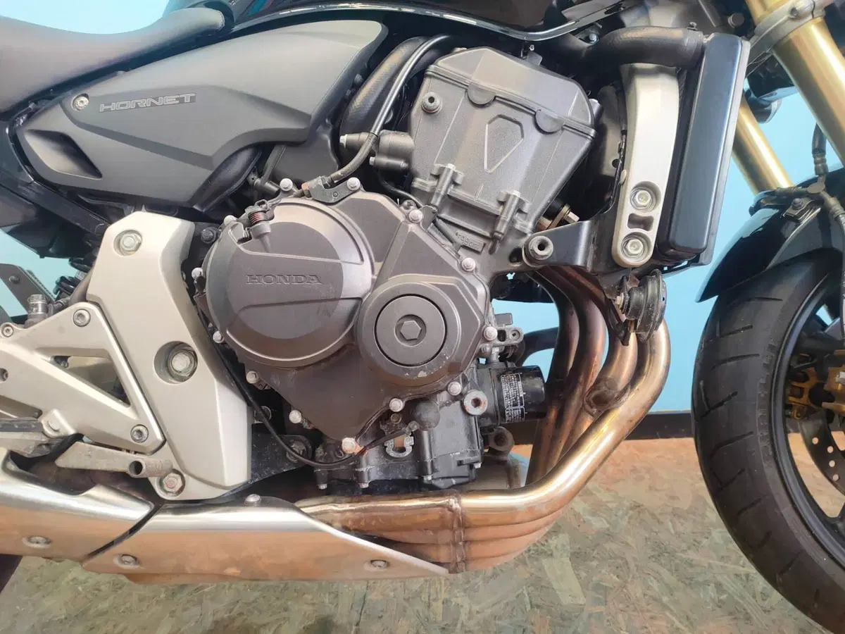 Honda Hornet 600 (2007 - 10) (11)