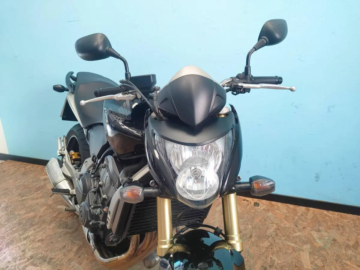 Honda Hornet 600 (2007 - 10) (14)
