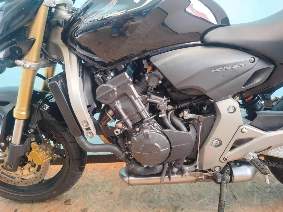 Honda Hornet 600 (2007 - 10) (15)