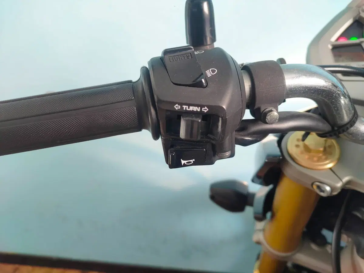 Honda Hornet 600 (2007 - 10) (17)