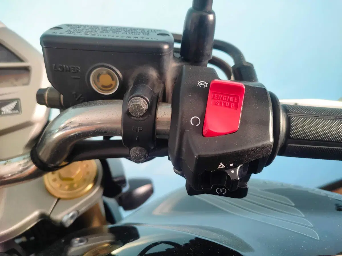 Honda Hornet 600 (2007 - 10) (18)
