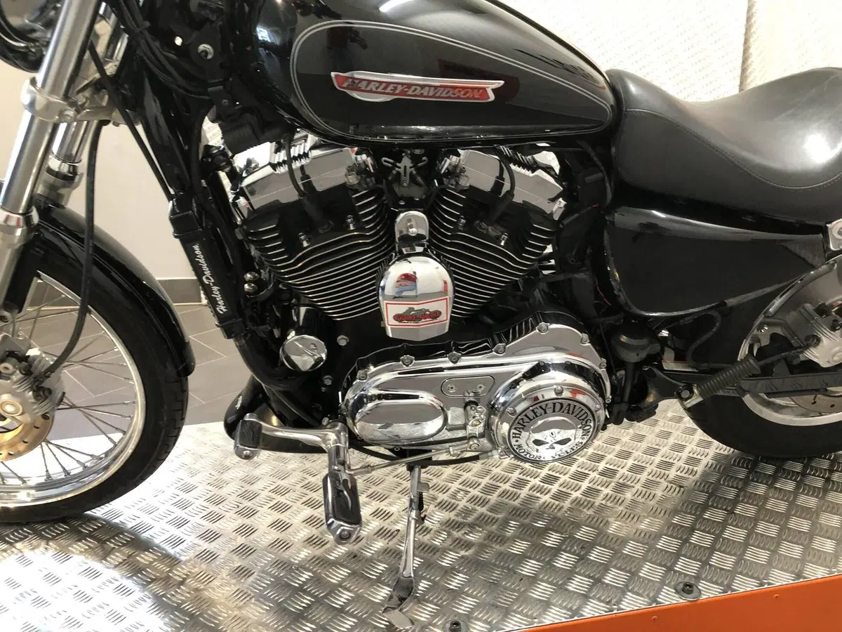 Harley-Davidson 1200 Custom (2007 - 13) - XL 1200C (17)