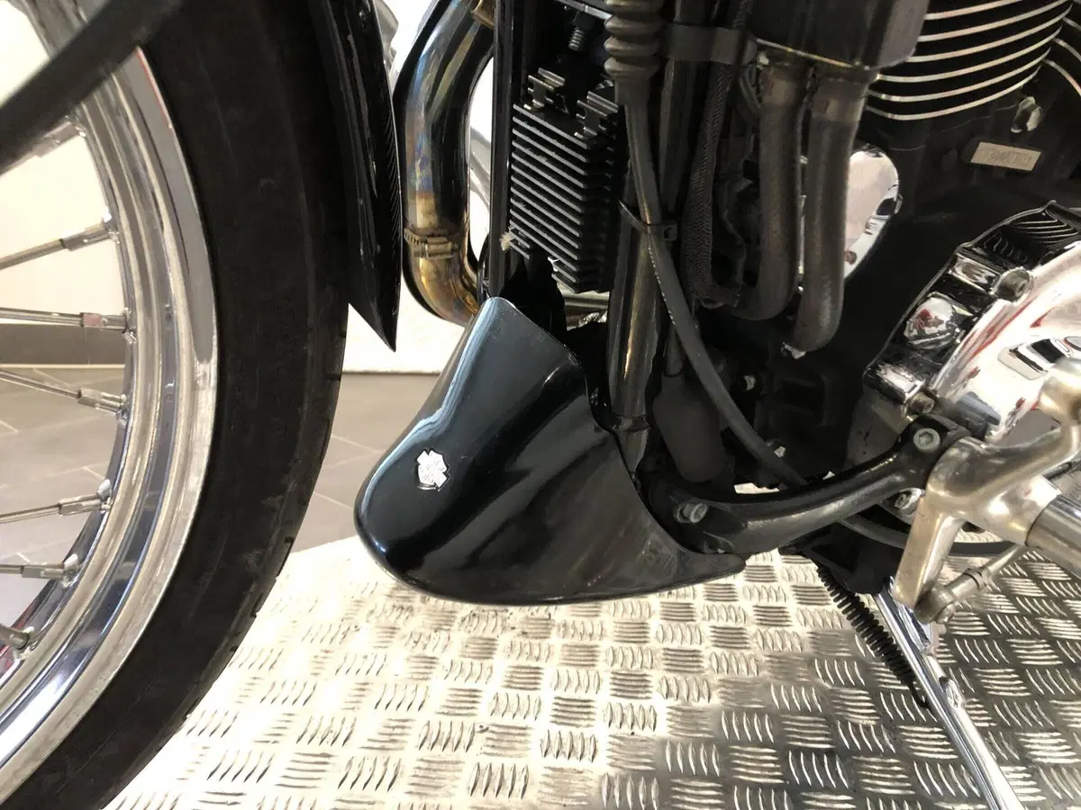 Harley-Davidson 1200 Custom (2007 - 13) - XL 1200C (18)