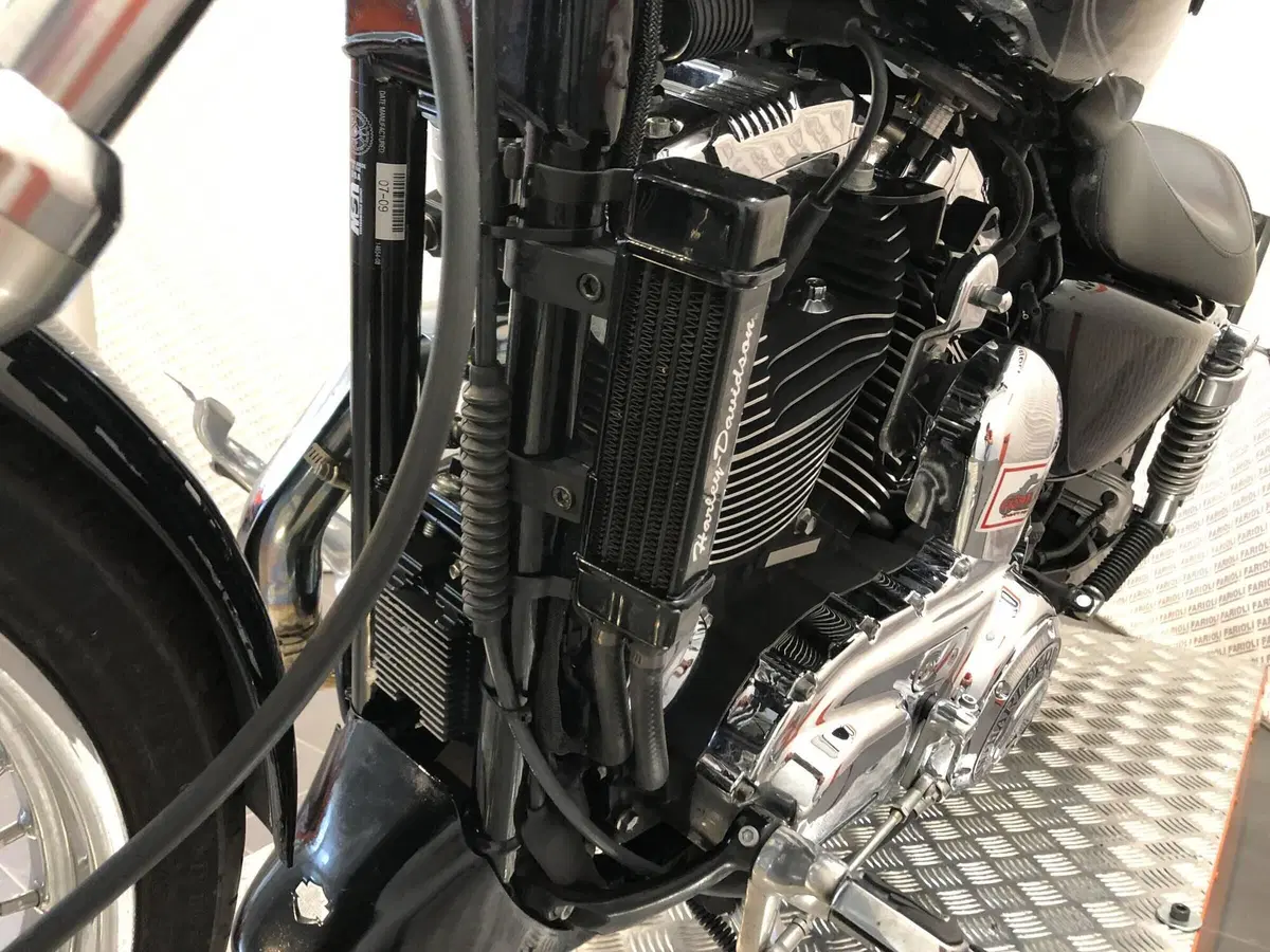 Harley-Davidson 1200 Custom (2007 - 13) - XL 1200C (19)