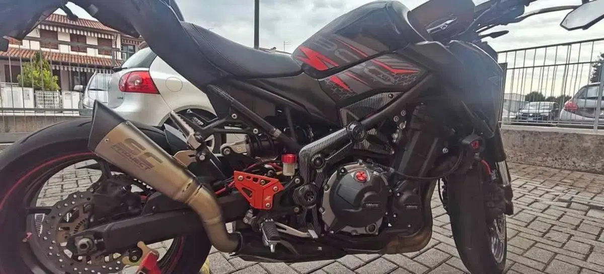 Kawasaki Z 900 Performance (2019) (2)