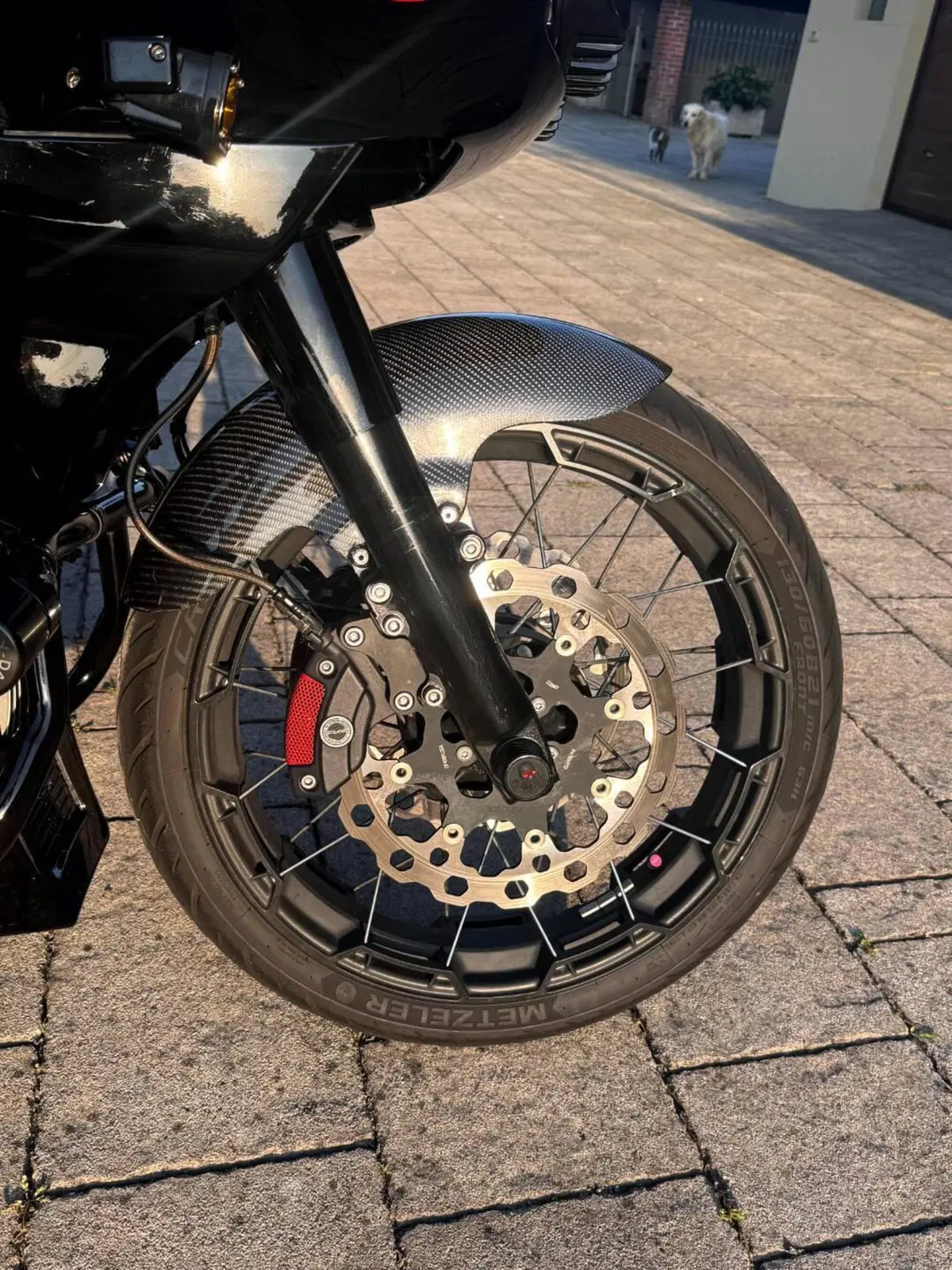 Harley-Davidson 117 Road Glide (2018 - 19) - FLTRXSE (16)