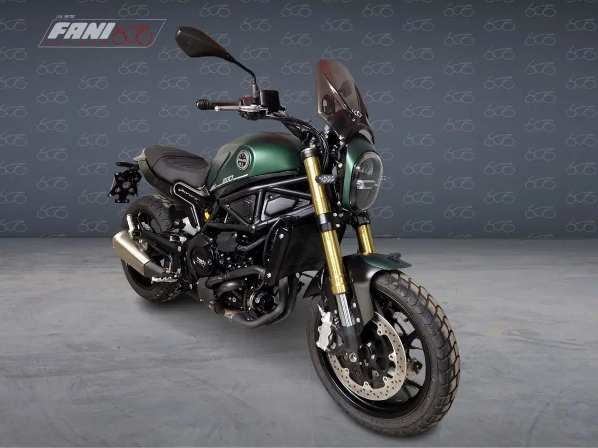 Benelli Leoncino 800 (2022 - 26) (2)