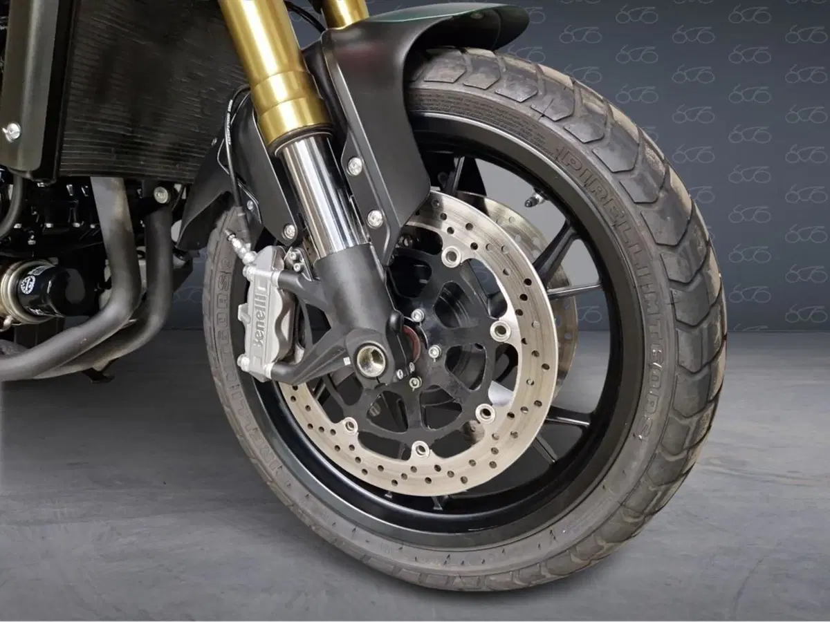 Benelli Leoncino 800 (2022 - 26) (5)