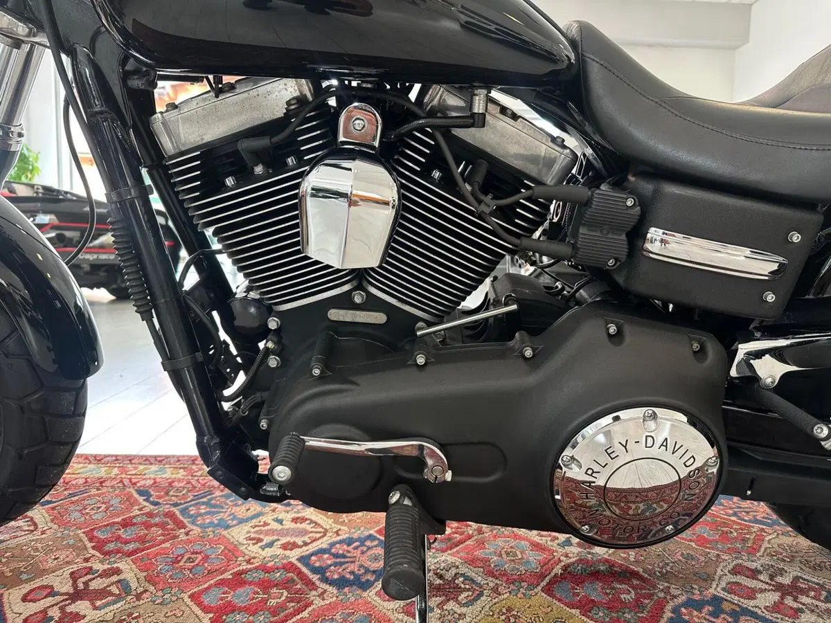 Harley-Davidson 1584 Fat Bob (2007 - 13) - FXDF (7)