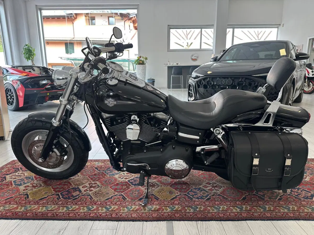 Harley-Davidson 1584 Fat Bob (2007 - 13) - FXDF (3)
