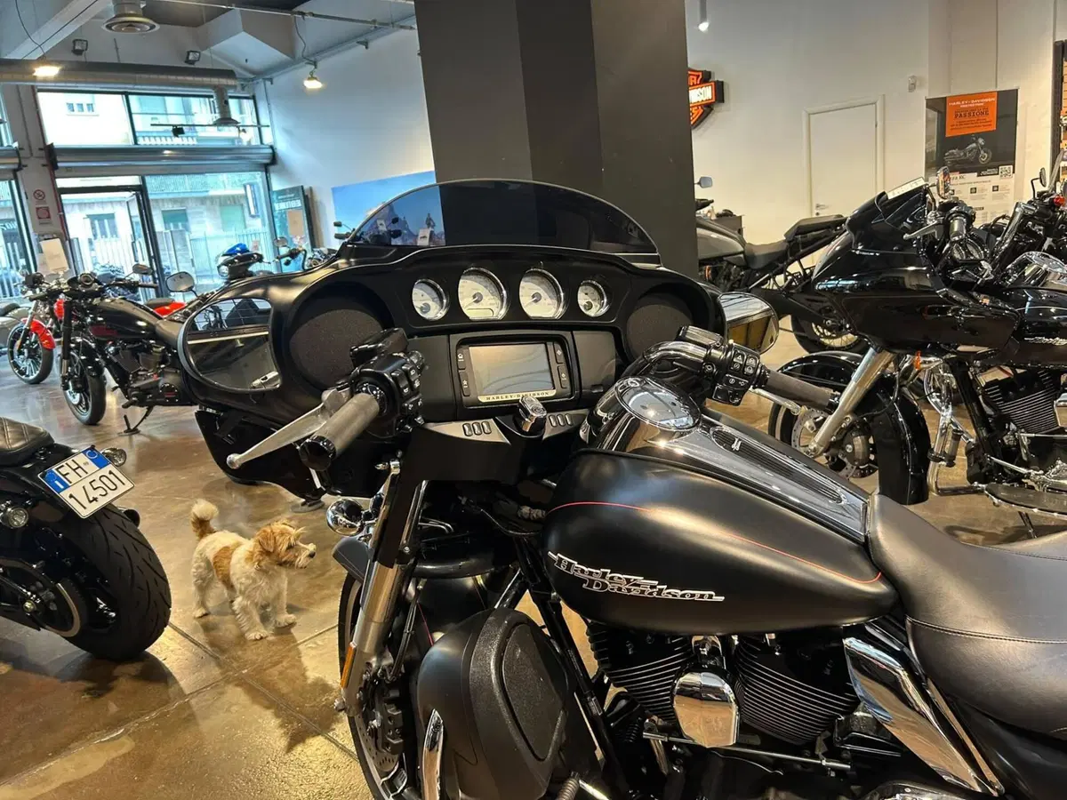 Harley-Davidson 1690 Street Glide Special (2014 - 16) - FLHX (6)