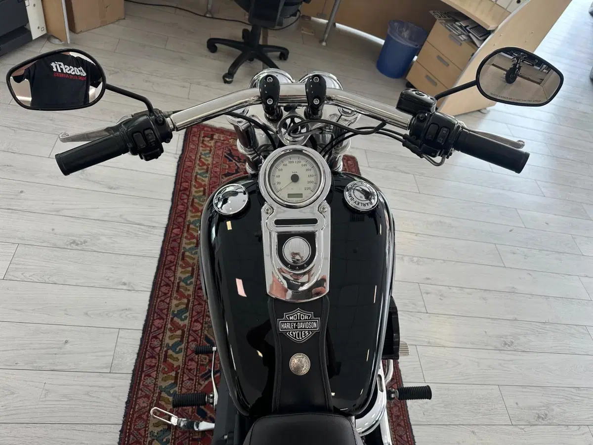Harley-Davidson 1584 Fat Bob (2007 - 13) - FXDF (8)