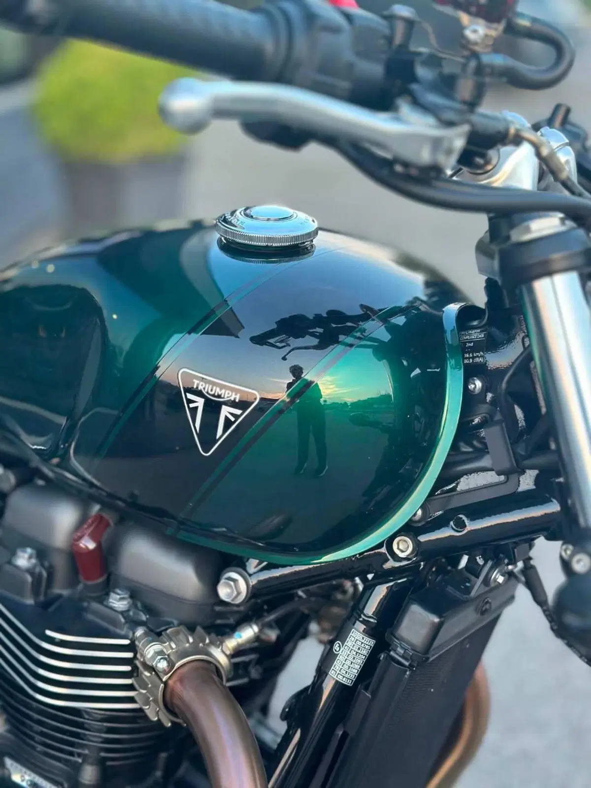 Triumph Speed Twin 900 (2023 - 24) (4)