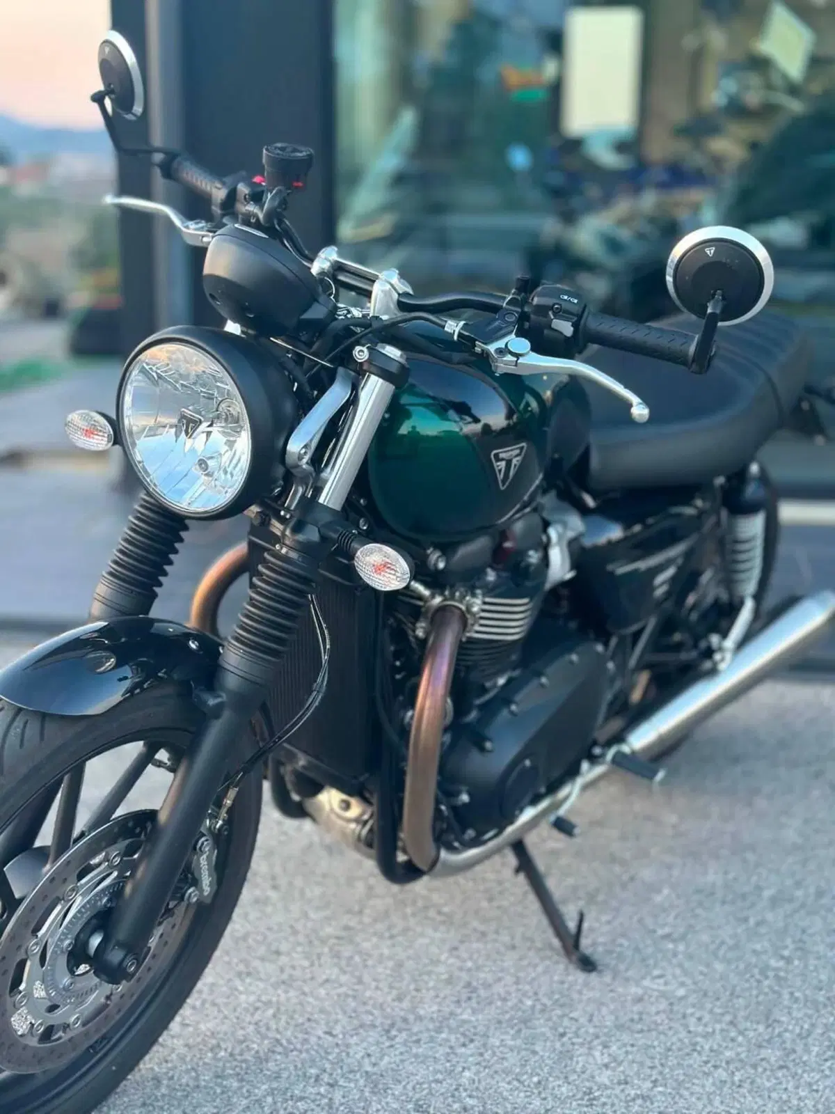 Triumph Speed Twin 900 (2023 - 24)