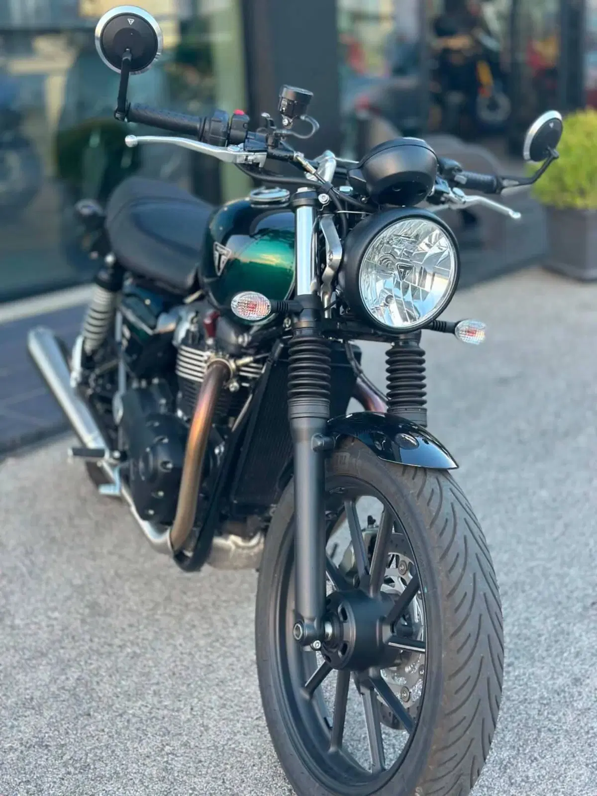 Triumph Speed Twin 900 (2023 - 24) (11)