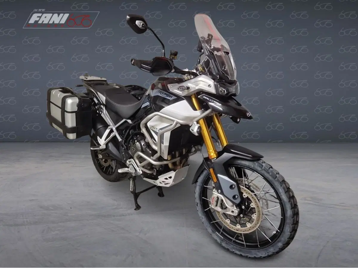 Triumph Tiger 900 Rally Pro (2020 - 23) (2)