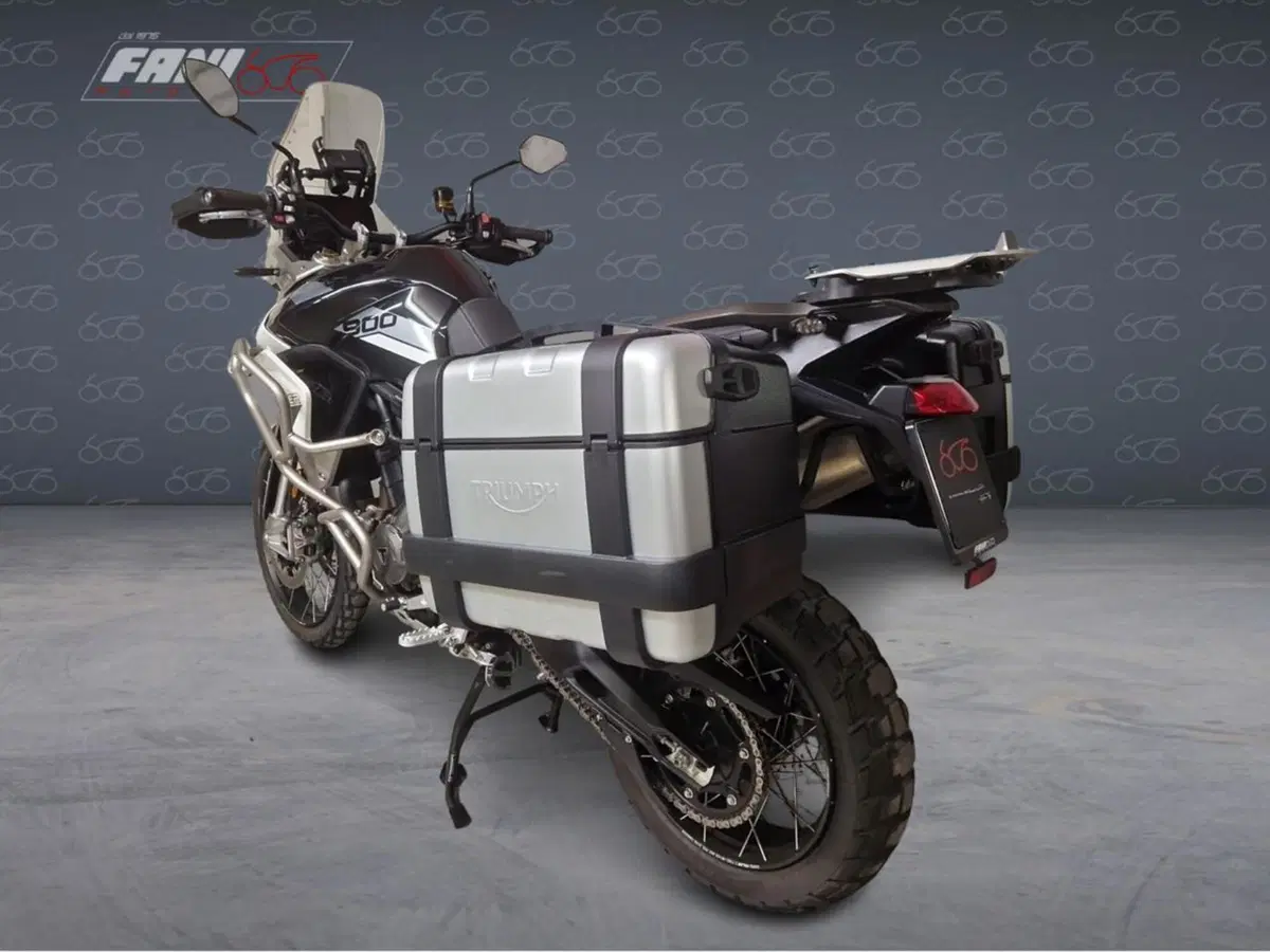 Triumph Tiger 900 Rally Pro (2020 - 23) (4)