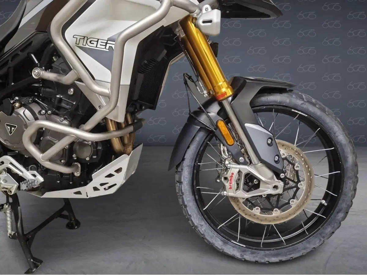 Triumph Tiger 900 Rally Pro (2020 - 23) (5)