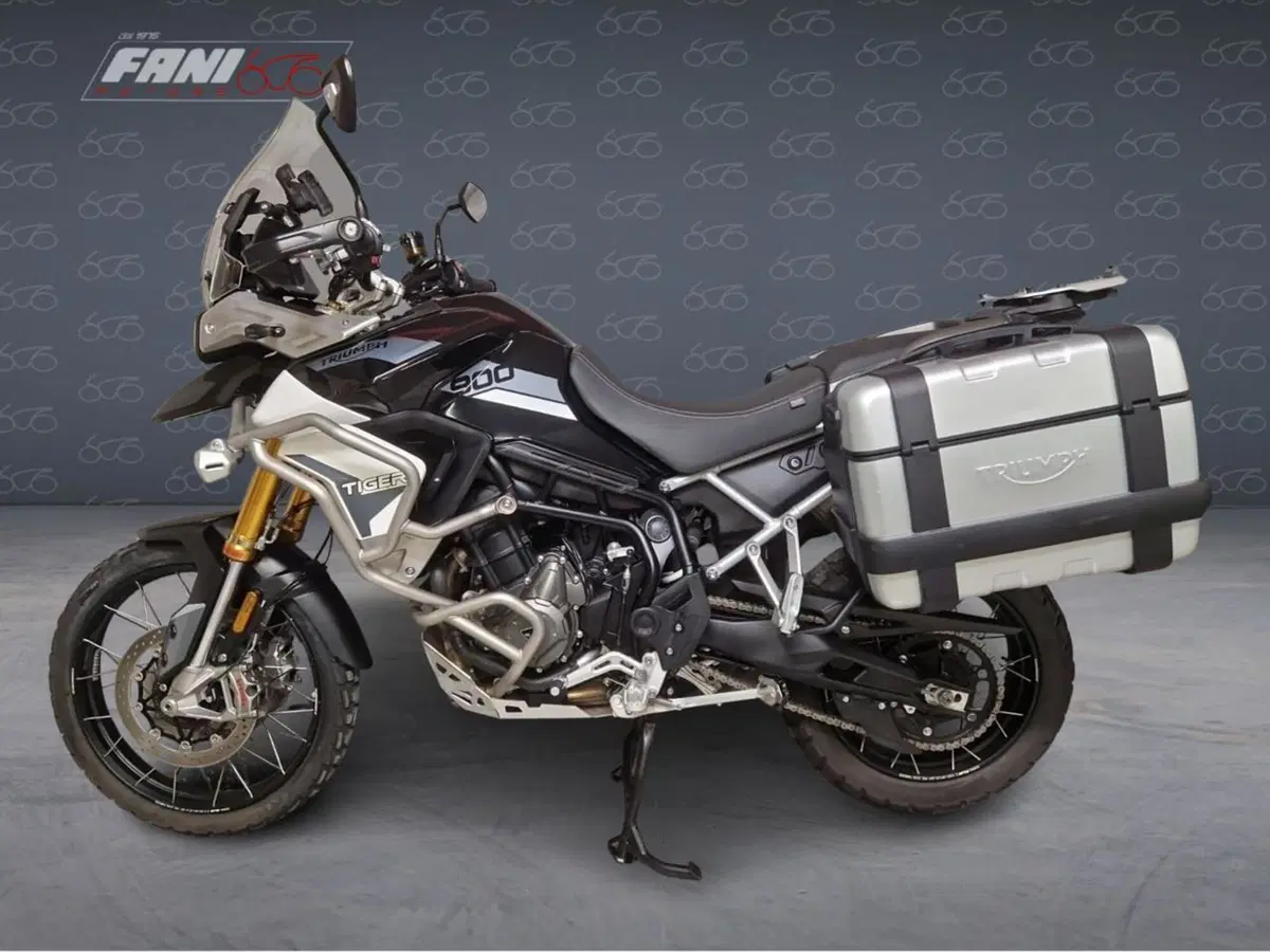 Triumph Tiger 900 Rally Pro (2020 - 23) (3)
