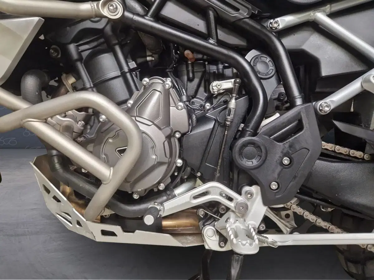 Triumph Tiger 900 Rally Pro (2020 - 23) (6)