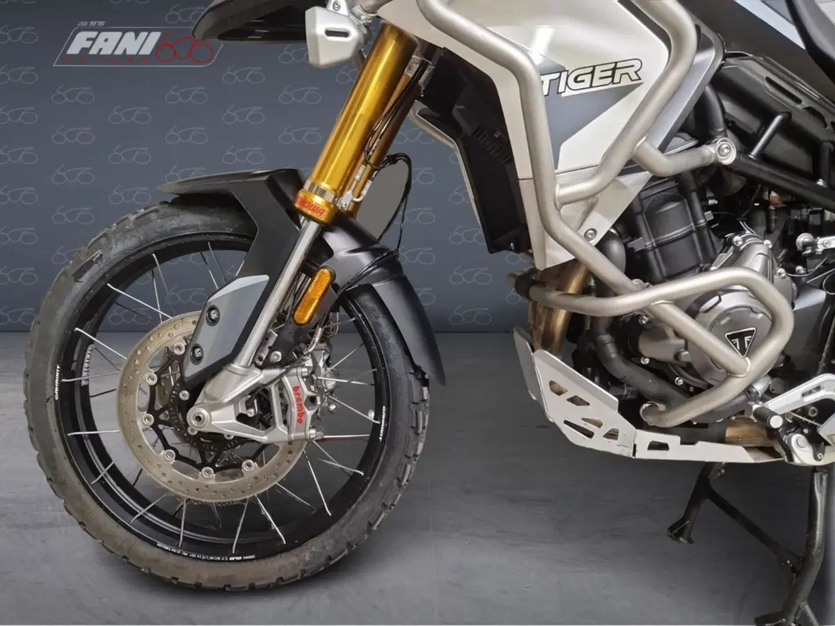 Triumph Tiger 900 Rally Pro (2020 - 23) (7)