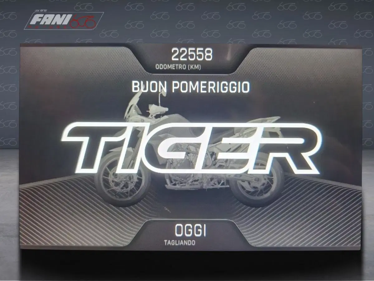 Triumph Tiger 900 Rally Pro (2020 - 23) (8)