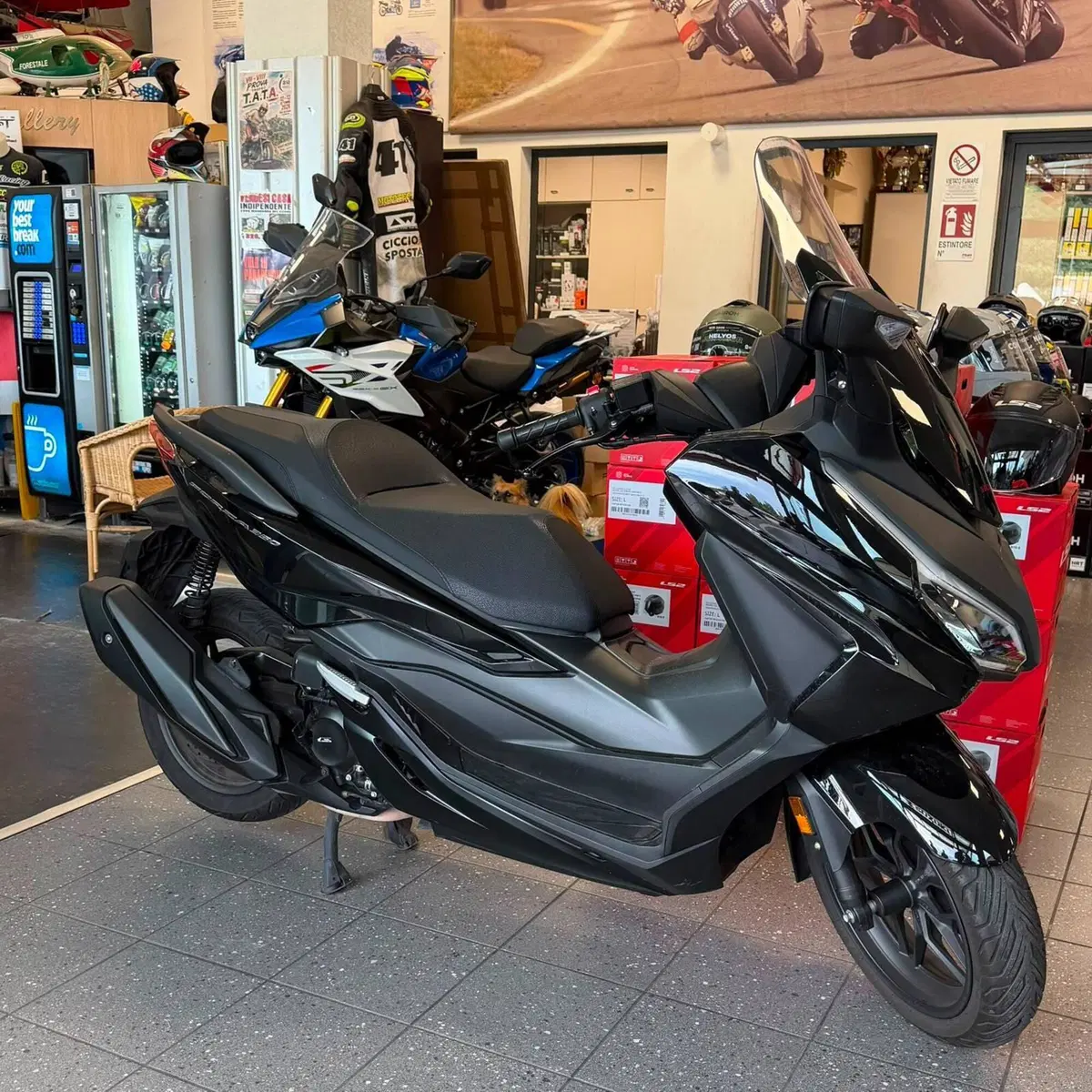 Honda Forza 350 (2025 - 26) (3)