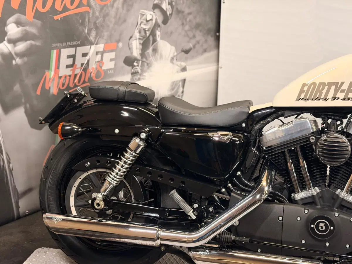Harley-Davidson 1200 Forty-Eight (2010 - 15) (4)